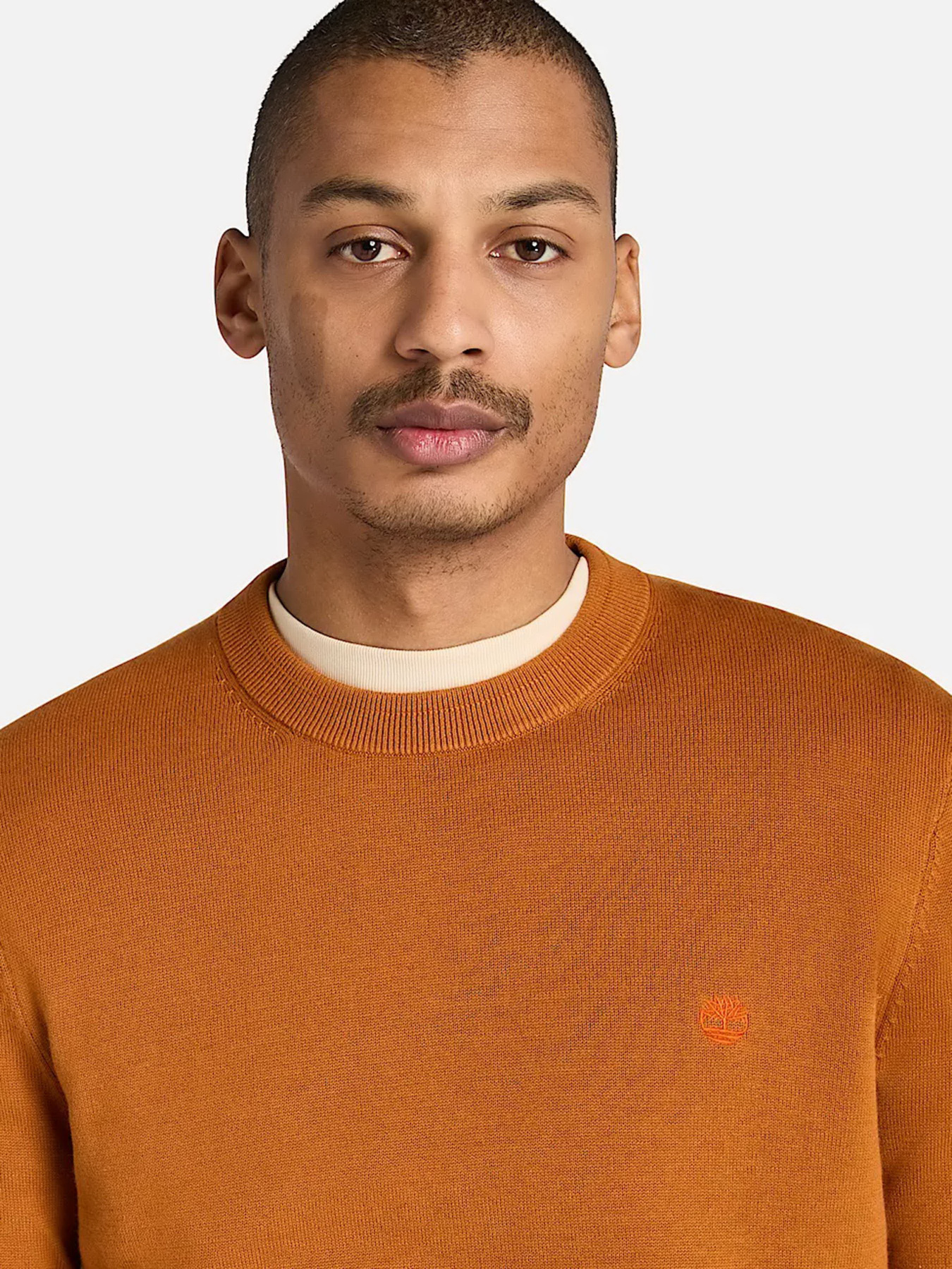 Свитер Timberland модель TB0A2BMMC39 Фото