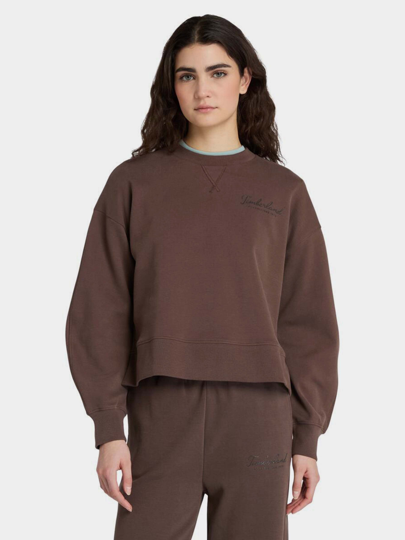 Свитшот Timberland Lush Comfort модель TB0A41ZB243 Фото