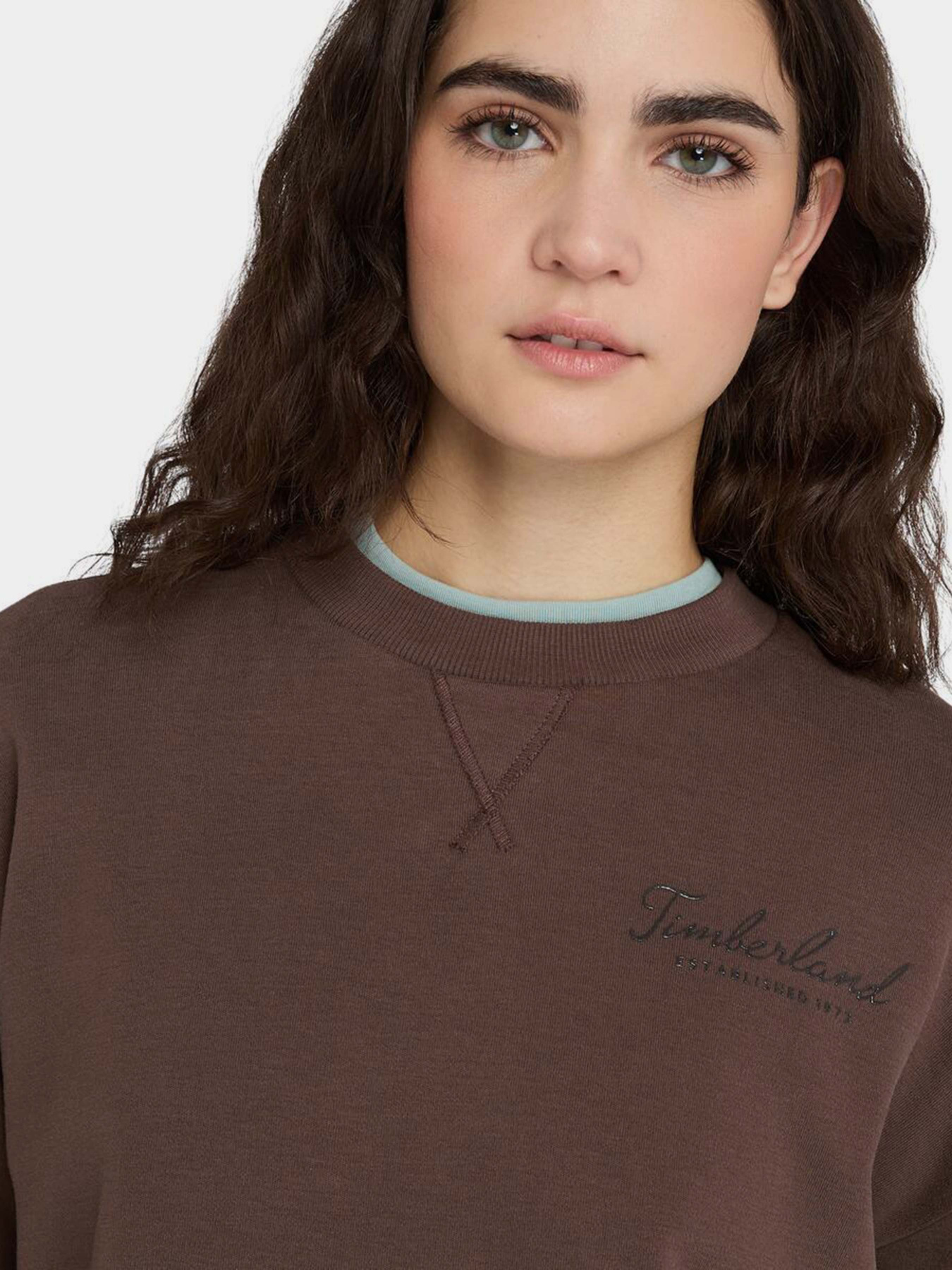 Світшот Timberland Lush Comfort модель TB0A41ZB243 Фото