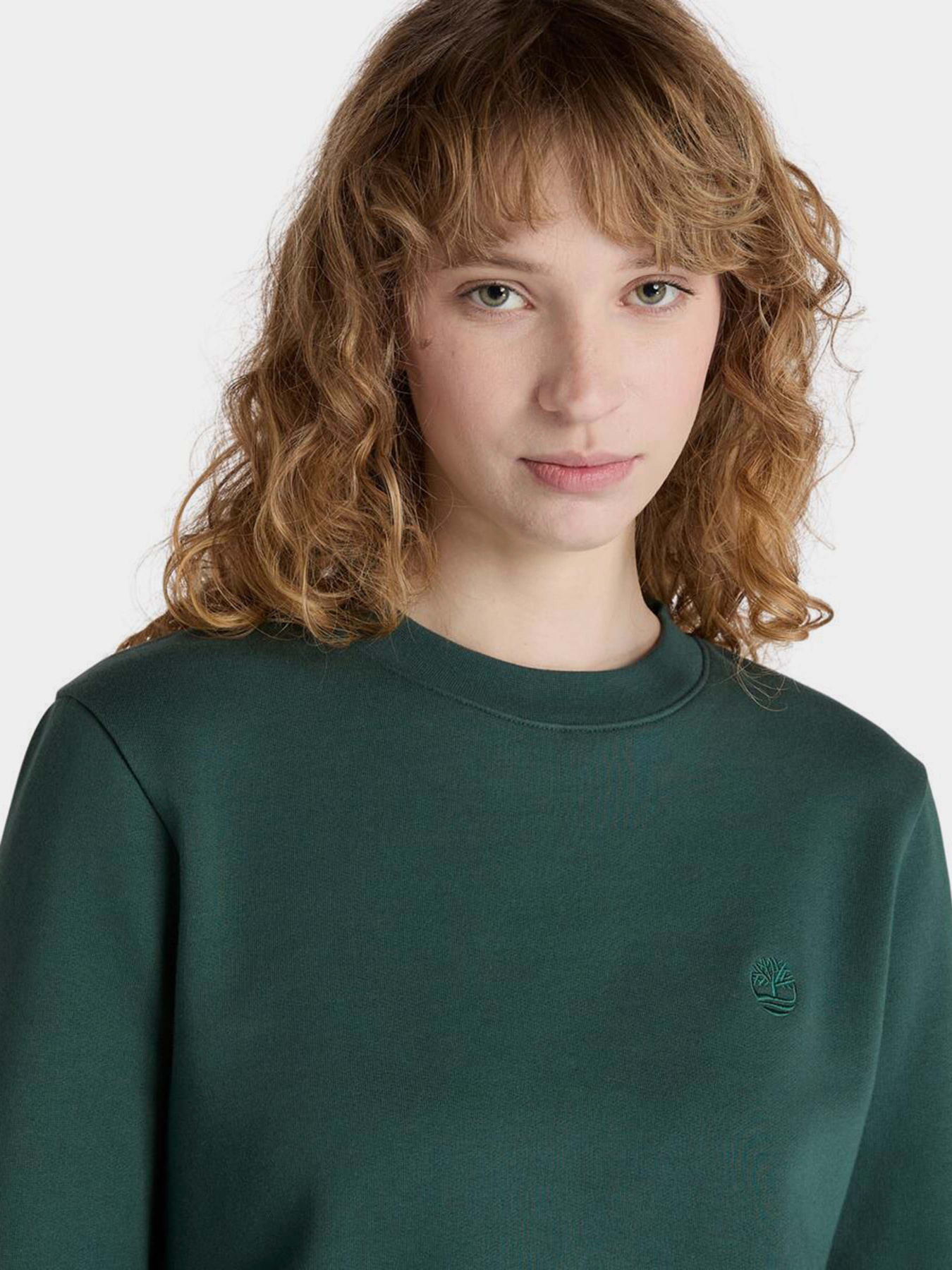 Світшот Timberland Exeter River Brushedback модель TB0A5NMX317 Фото