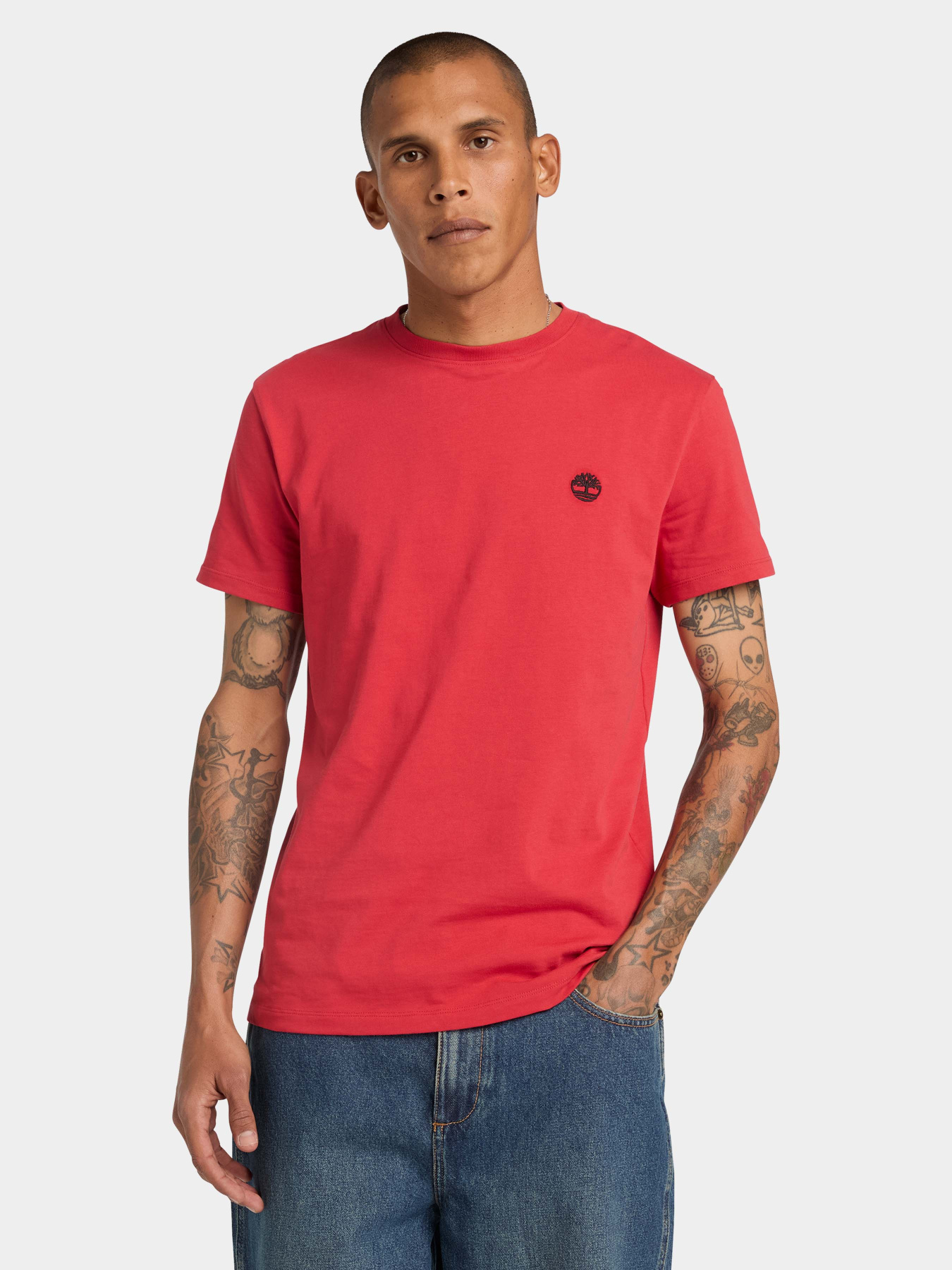 Футболки і поло Timberland модель TB0A2BPRN96 Фото