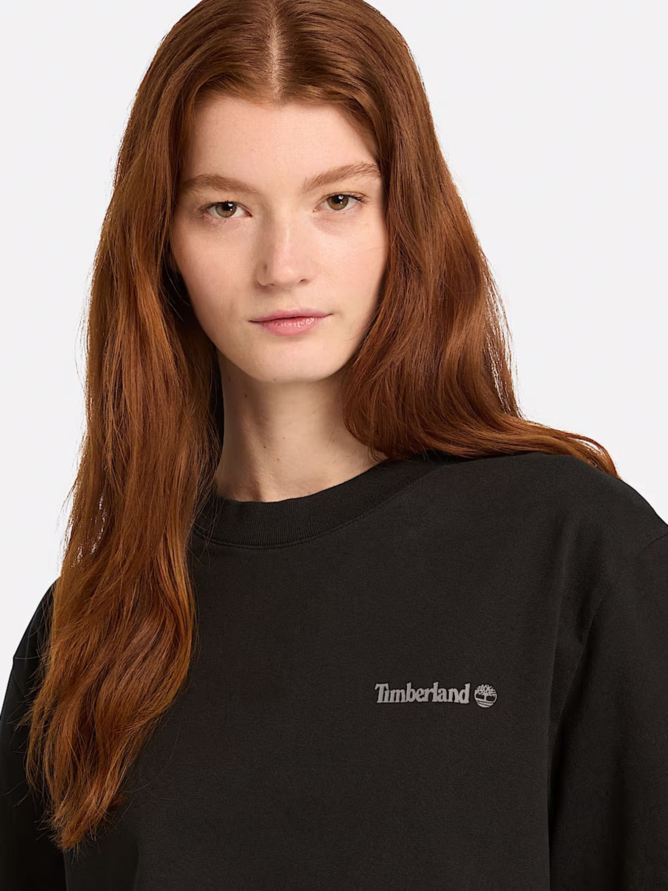 Футболка Timberland модель TB0A5MKY001 Фото