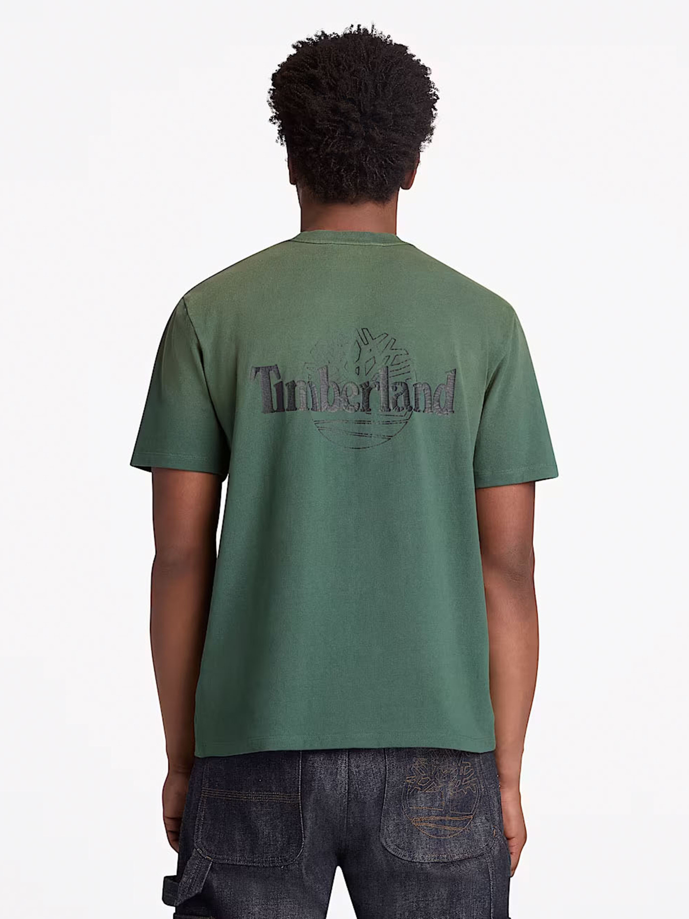 Футболка Timberland модель TB0A5MMMA6X Фото