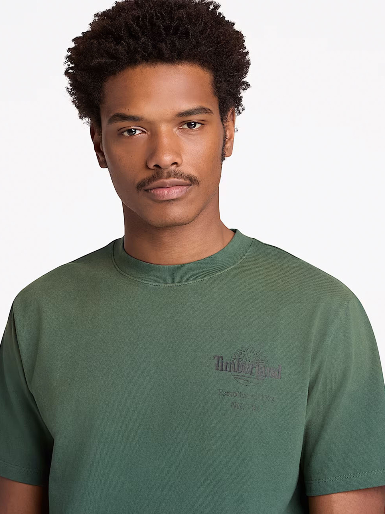Футболка Timberland модель TB0A5MMMA6X Фото