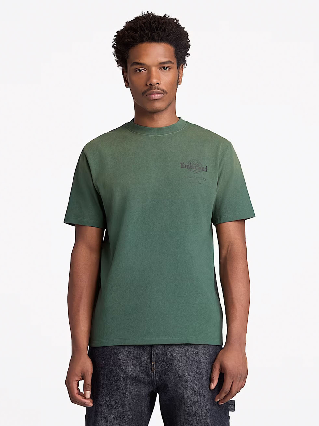 Футболка Timberland модель TB0A5MMMA6X Фото
