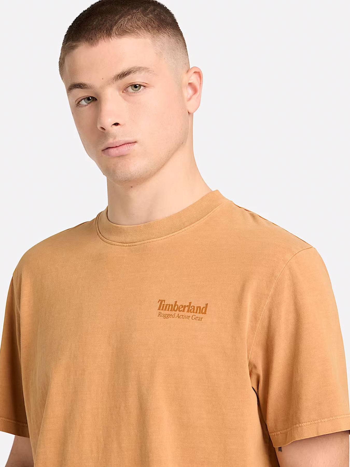 Футболка Timberland модель TB0A5MU6P47 Фото