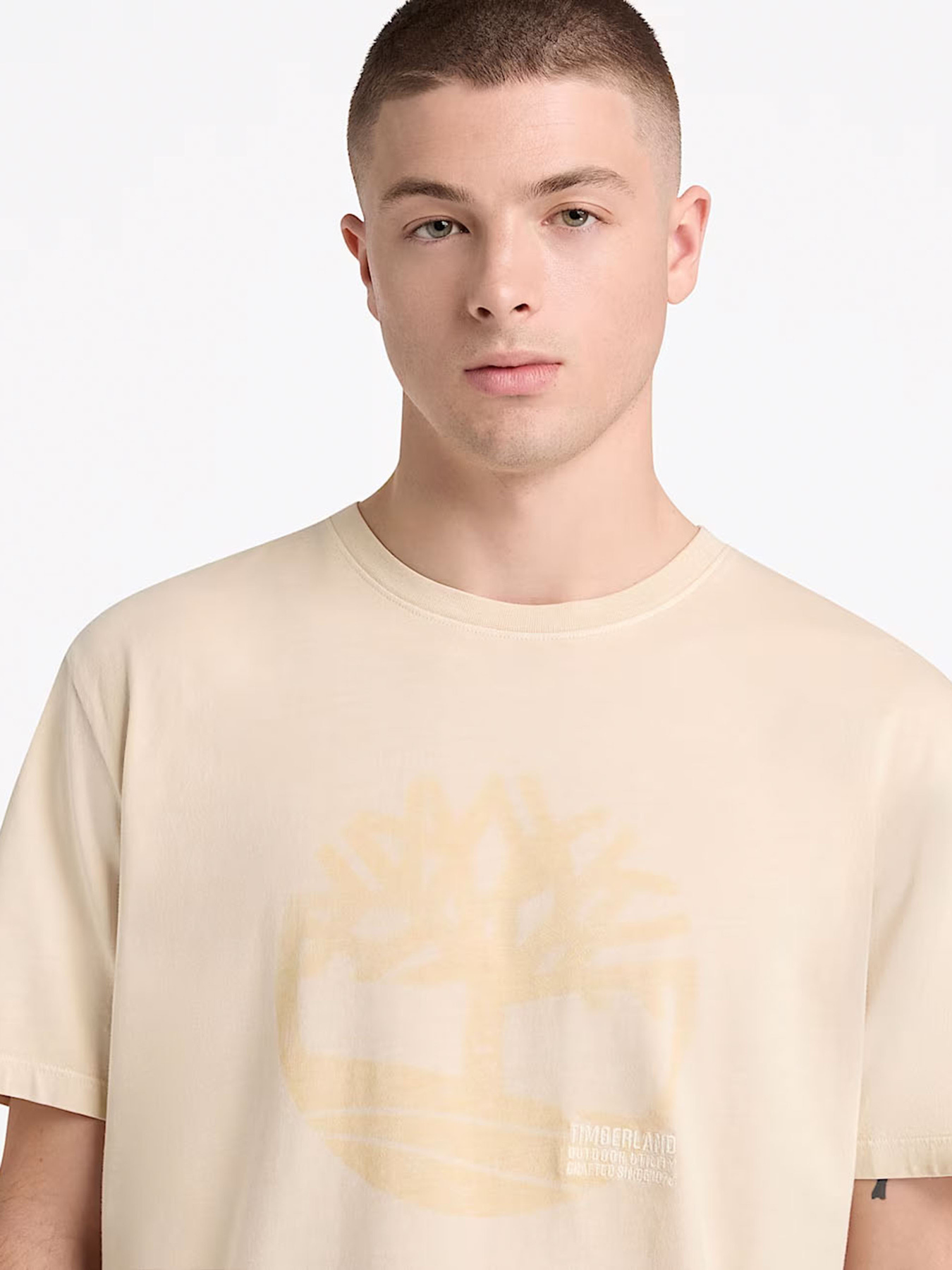 Футболка Timberland модель TB0A5UEK260 Фото