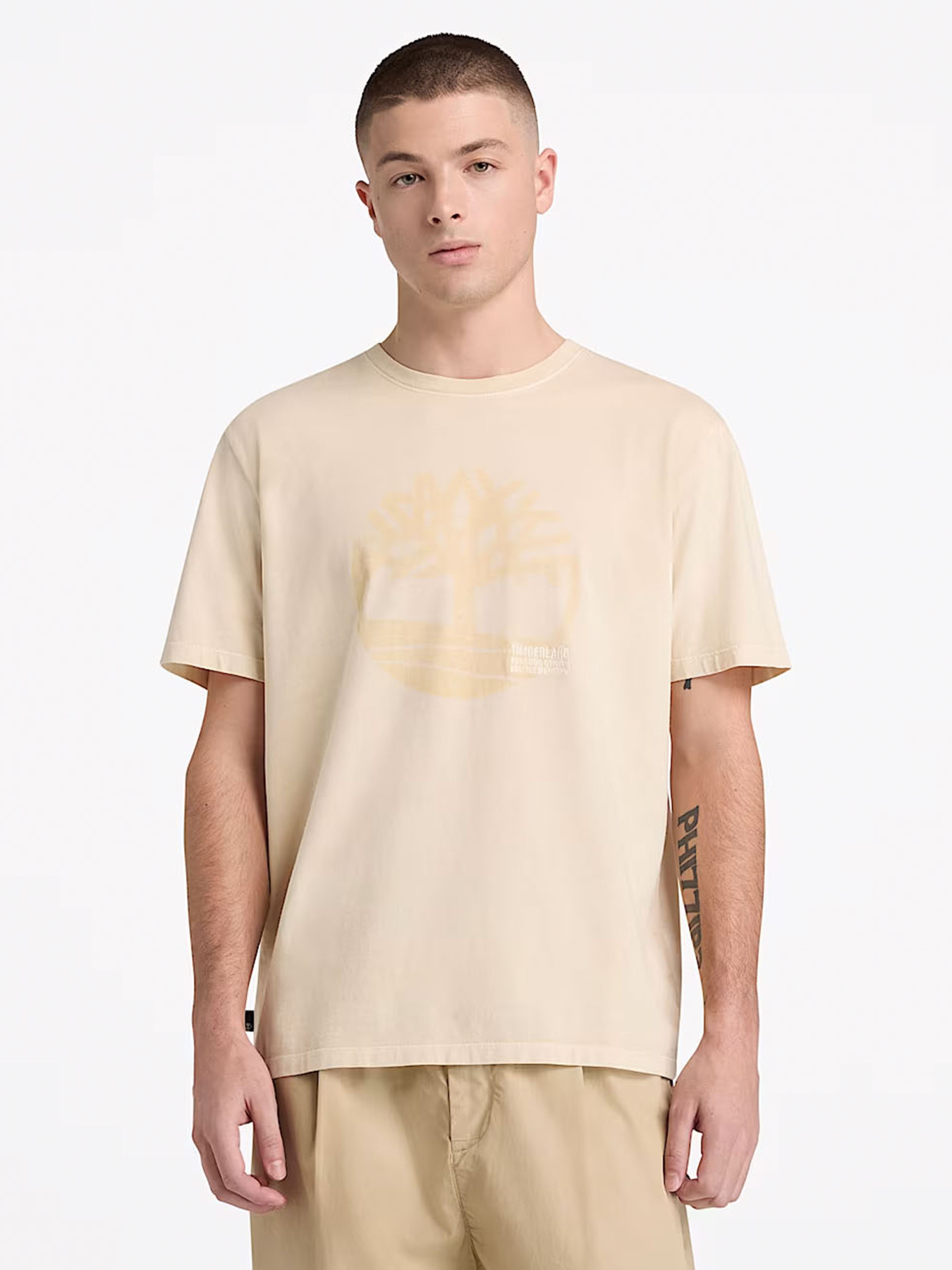 Футболка Timberland модель TB0A5UEK260 Фото