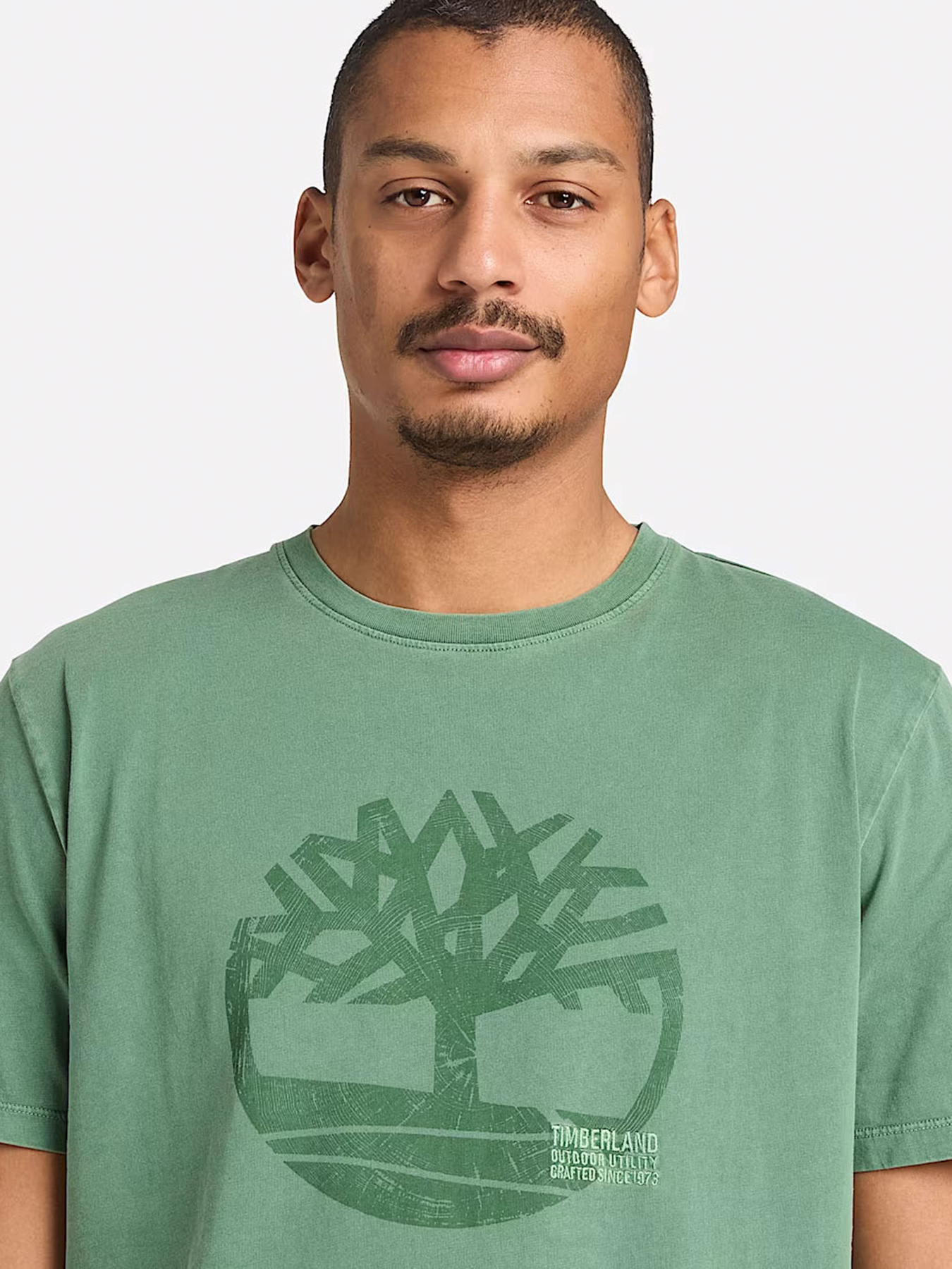 Футболка Timberland модель TB0A5UEKA6Z Фото