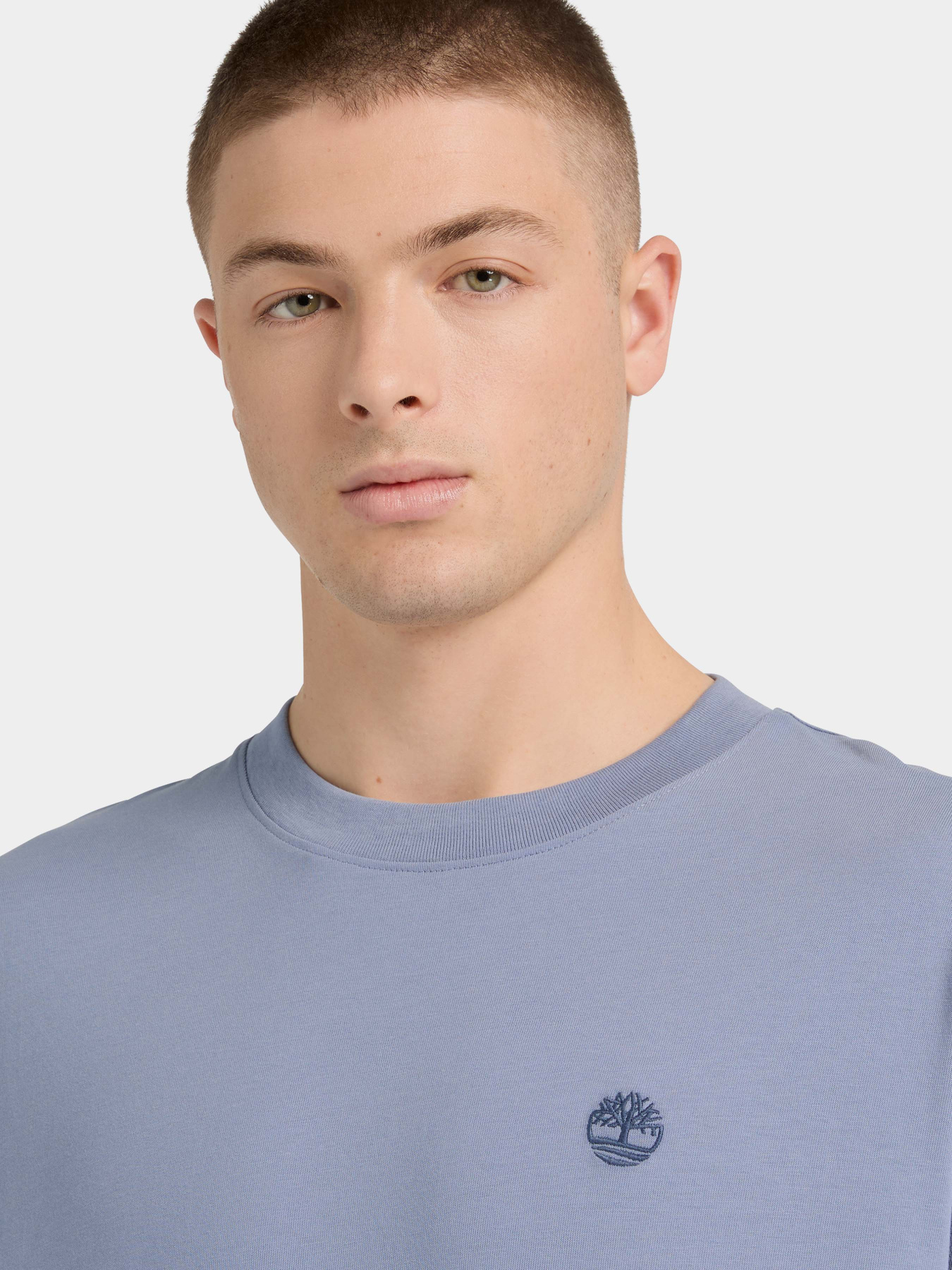 Футболки і поло Timberland модель TB0A6GH3B88 Фото