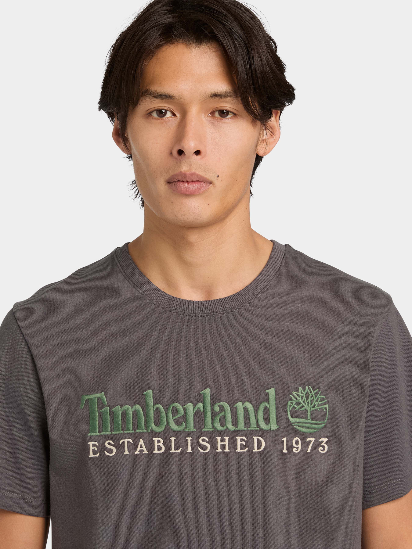 Футболки і поло Timberland модель TB0A6SE1W08 Фото