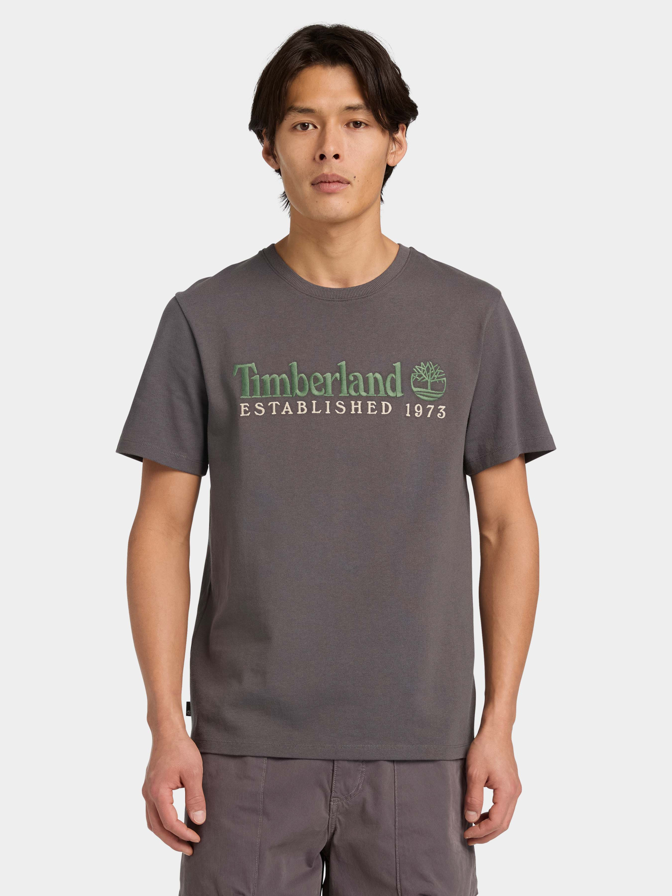 Футболки і поло Timberland модель TB0A6SE1W08 Фото