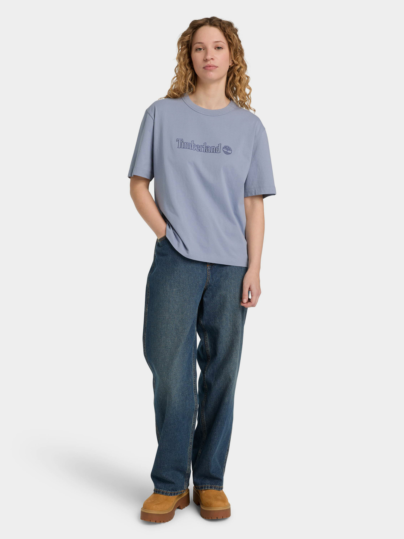 Футболка Timberland модель TB0A43VFB88 Фото