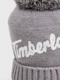 Шапка Timberland Logo модель TB0A1ERZC81 Фото