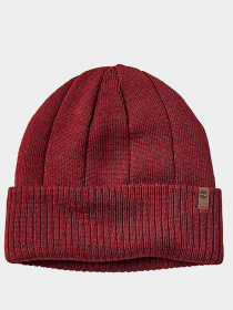 Шапка Timberland модель TB0A1EGYV15 Фото