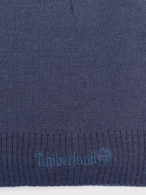 Шапка Timberland модель TB0A1EGXTB9 Фото