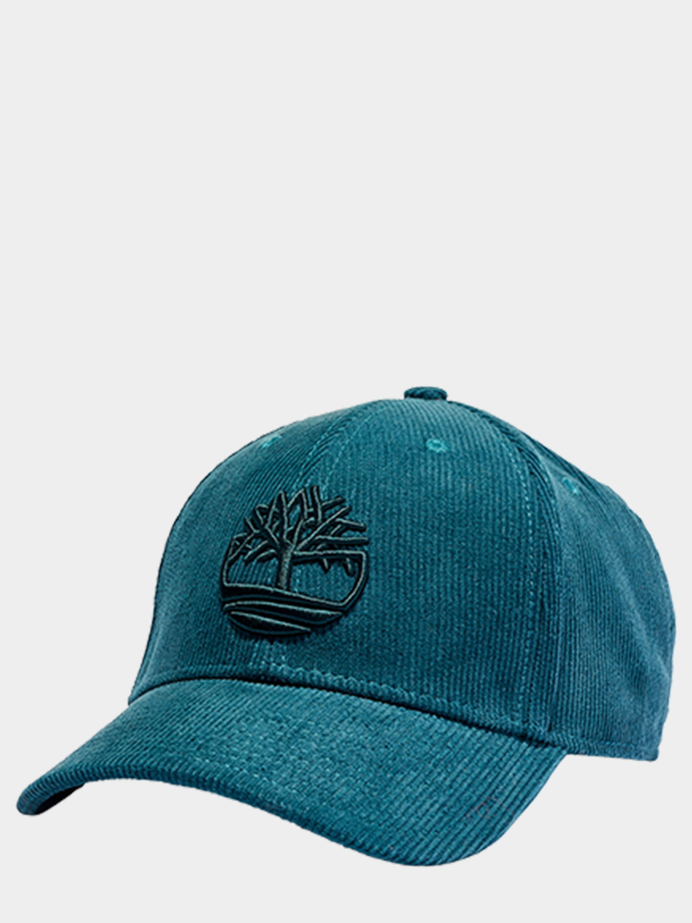 Кепка Timberland Corduroy модель TB0A1EJRAK1 Фото