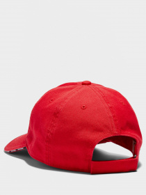 Кепка Timberland Sandwich Brim модель TB0A1F11P92 Фото