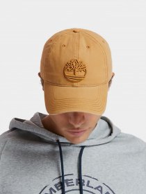 Кепка Timberland SOUNDVIEW модель TB0A1E9M231 Фото