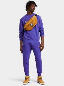 Поясная сумка Timberland Starlo Sling модель TB0A2JAAP47 Фото