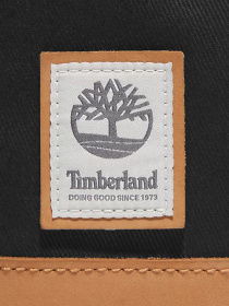 Сумка Timberland Needham Crossbody модель TB0A2J16001 Фото