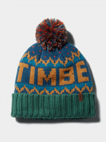 Шапка Timberland Logo модель TB0A1EH2BZ4 Фото