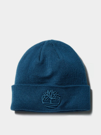 Шапка Timberland Embroidery модель TB0A1F3NBZ4 Фото