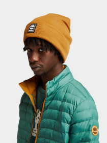 Шапка Timberland Logo Mushroom модель TB0A1EXK231 Фото