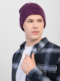 Шапка Timberland модель TB0A1F3NX34 Фото
