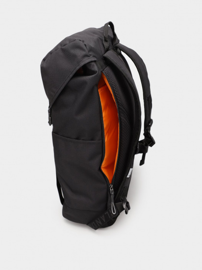 Рюкзаки Timberland Dardin Hiker модель TB0A2HNP001 — фото 4 - INTERTOP