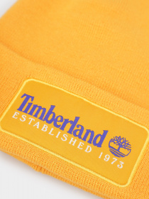 Шапка Timberland Established 1973 модель TB0A2PTD804 Фото