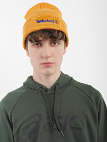 Шапка Timberland Established 1973 модель TB0A2PTD804 Фото