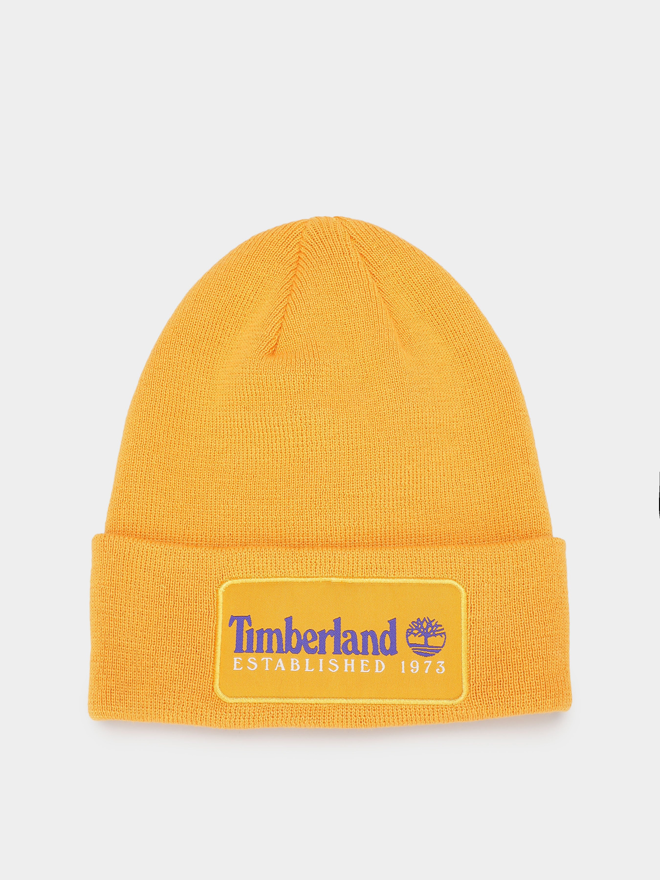 Шапка Timberland Established 1973 модель TB0A2PTD804 Фото