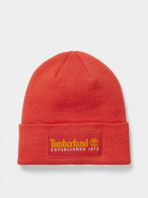 Шапка Timberland Established 1973 модель TB0A2PTDDV8 Фото