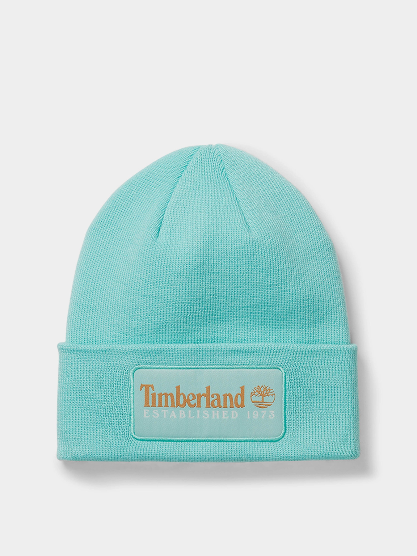 Шапка Timberland Established 1973 модель TB0A2PTDEB9 Фото