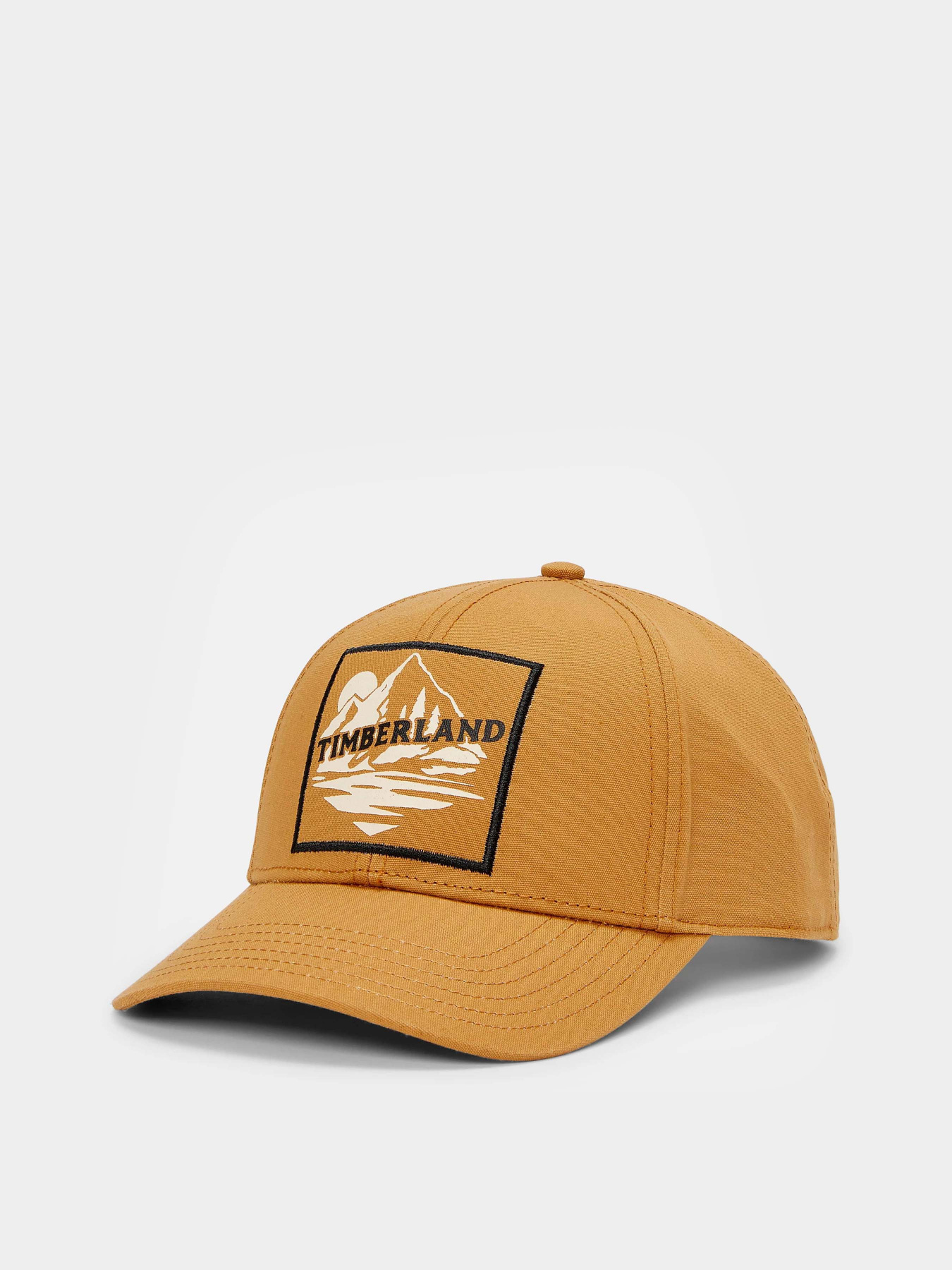 Кепка Timberland All Gender Mountain Patch модель TB0A2PSK231 Фото