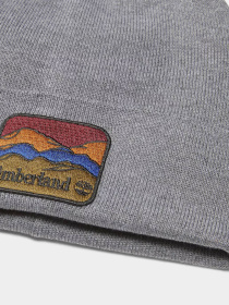 Шапка Timberland Mountain Patch модель TB0A2PNJ010 Фото