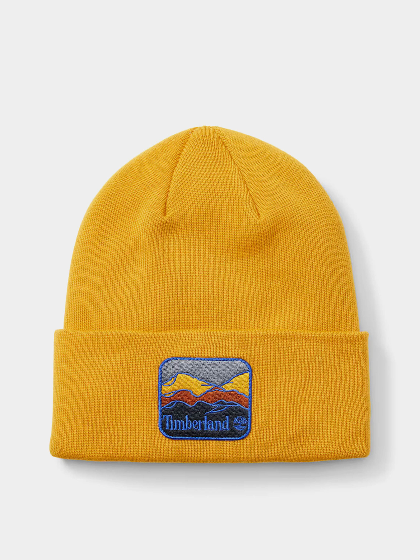 Шапка Timberland Mountain Patch модель TB0A2PNJEFM Фото