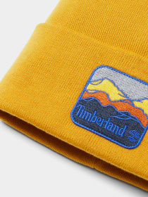 Шапка Timberland Mountain Patch модель TB0A2PNJEFM Фото