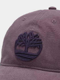 Кепка Timberland Soundview модель TB0A61UJENX Фото