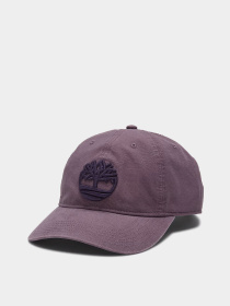 Кепка Timberland Soundview модель TB0A61UJENX Фото