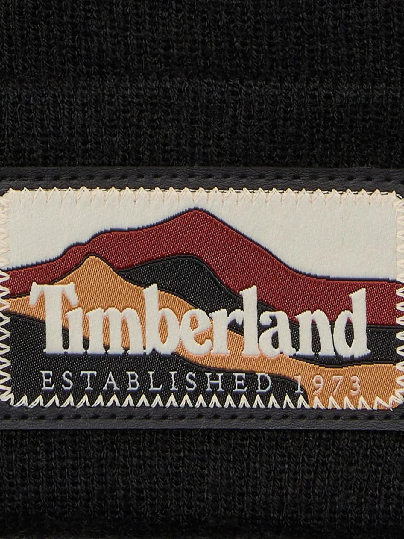 Шапка Timberland модель TB0A663T001 Фото