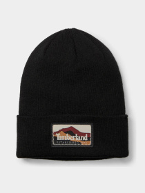 Шапка Timberland модель TB0A663T001 Фото