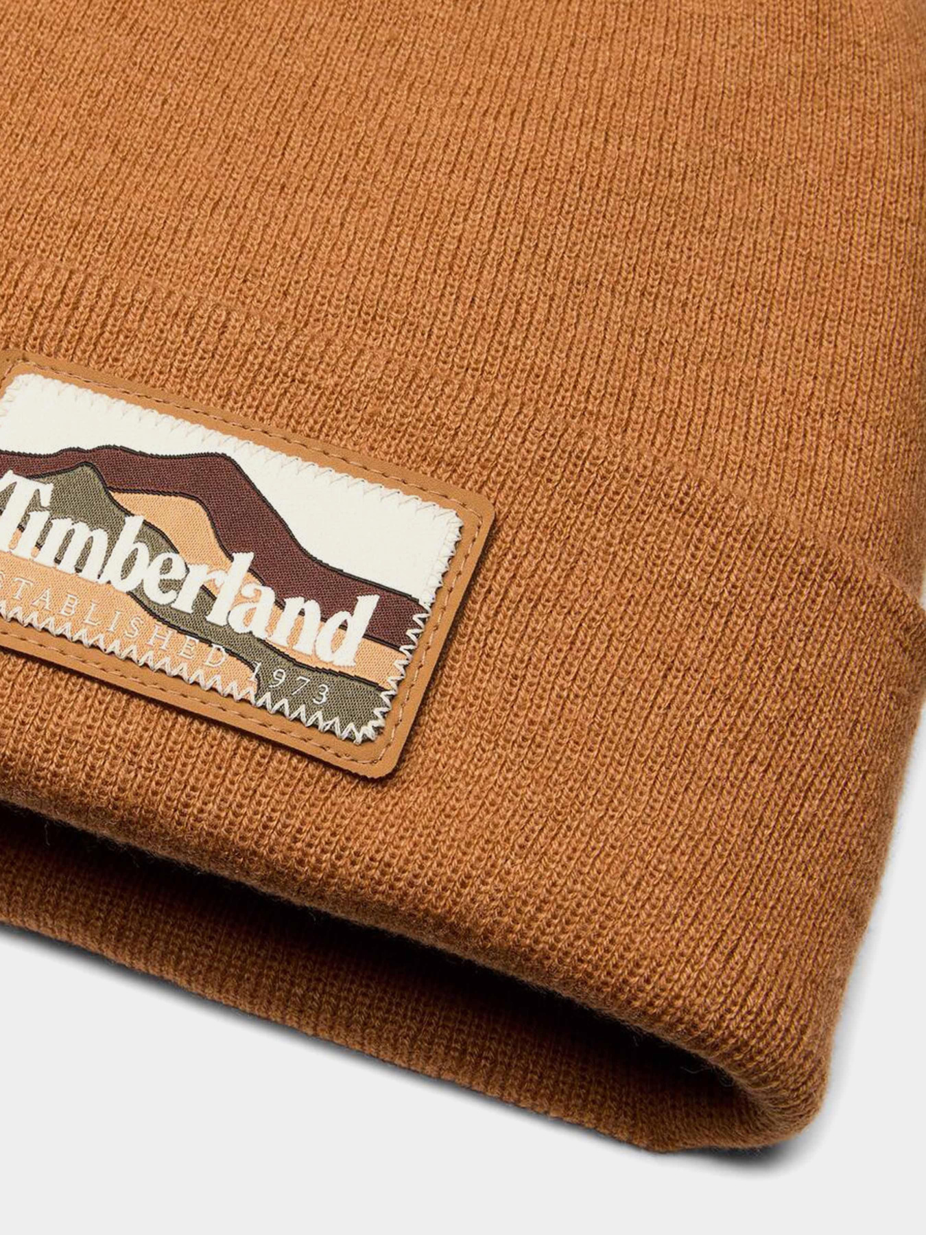 Шапка Timberland модель TB0A663T231 Фото