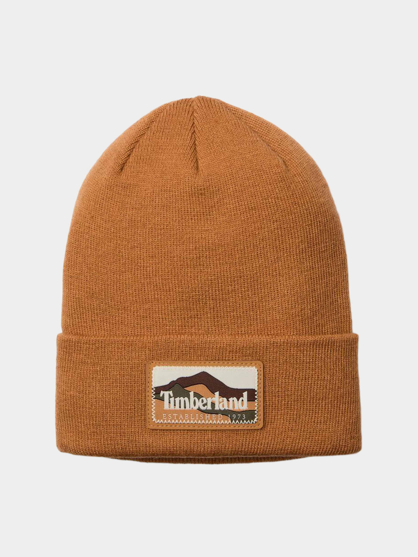 Шапка Timberland модель TB0A663T231 Фото