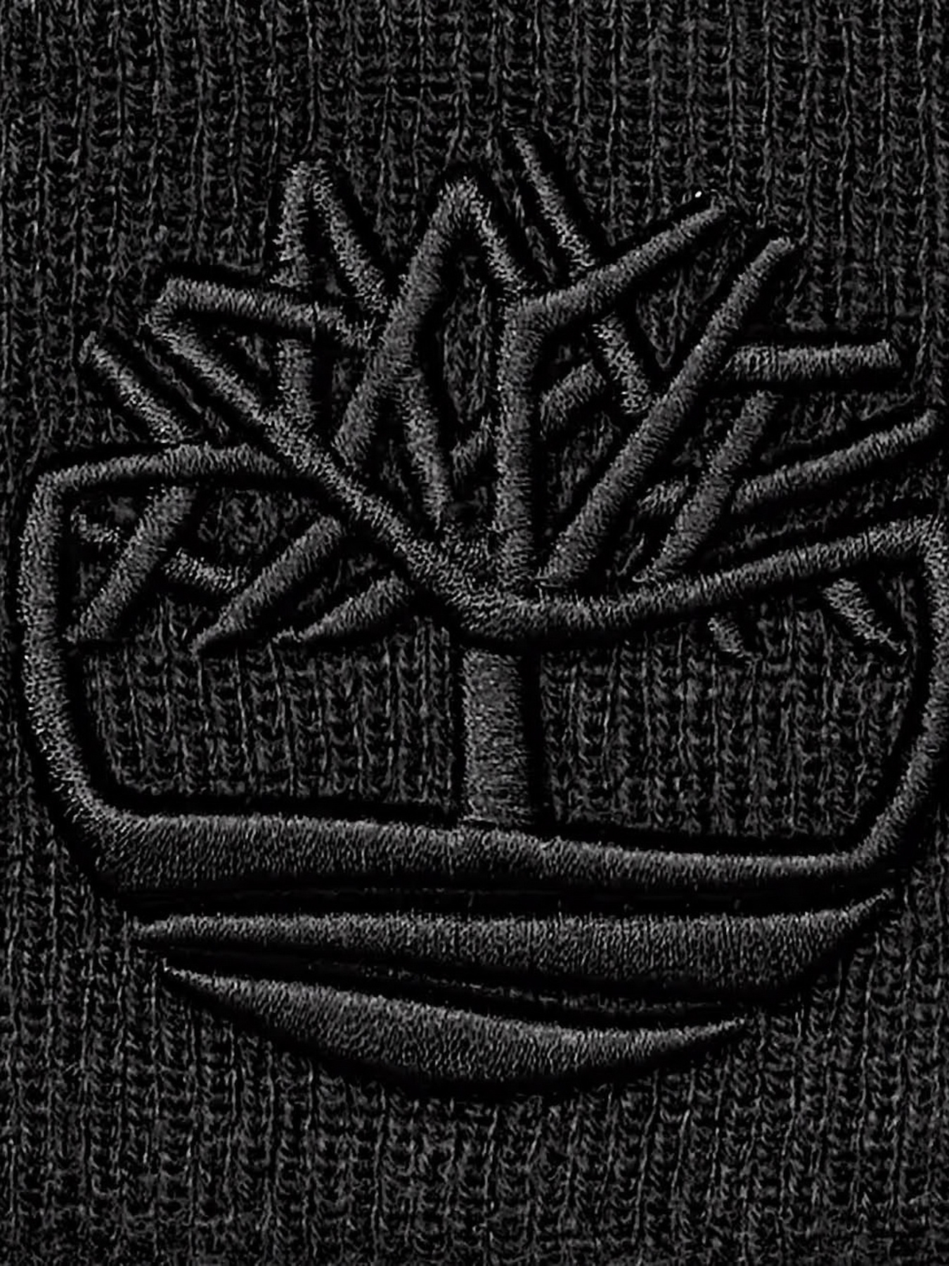 Шапка Timberland модель TB0A65HP001 Фото