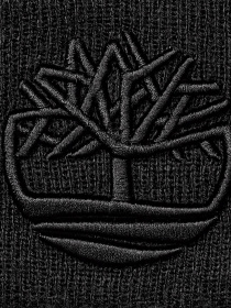 Шапка Timberland модель TB0A65HP001 Фото