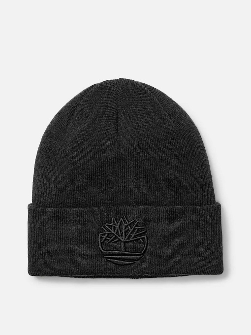 Шапка Timberland модель TB0A65HP001 Фото