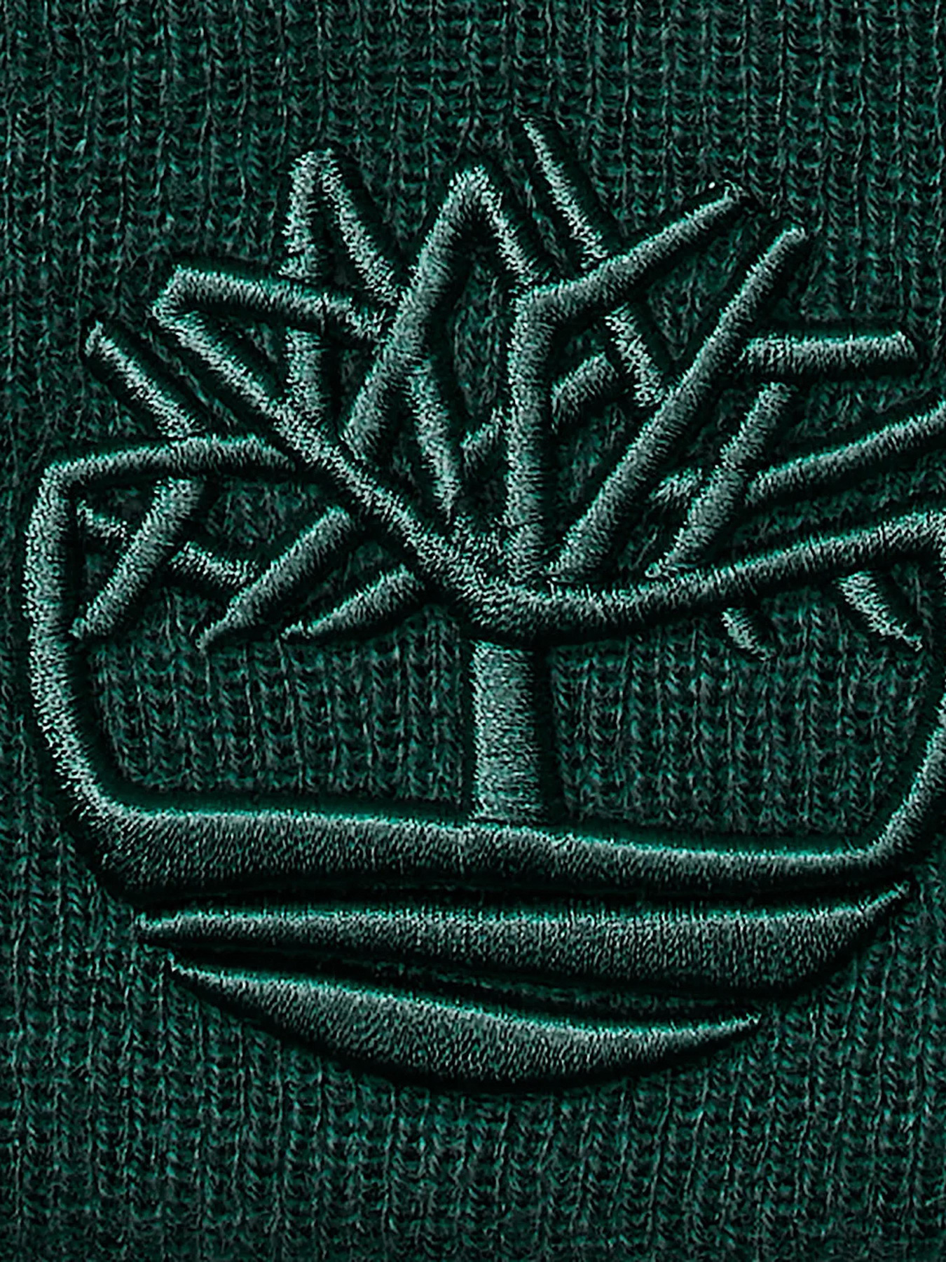 Шапка Timberland модель TB0A65HP317 Фото