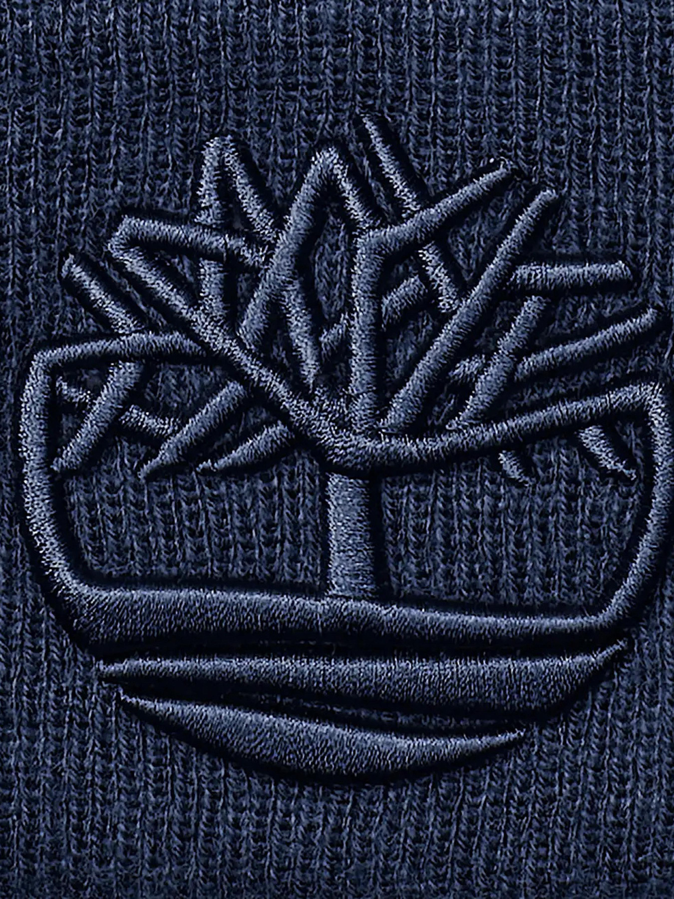 Шапка Timberland модель TB0A65HP451 Фото